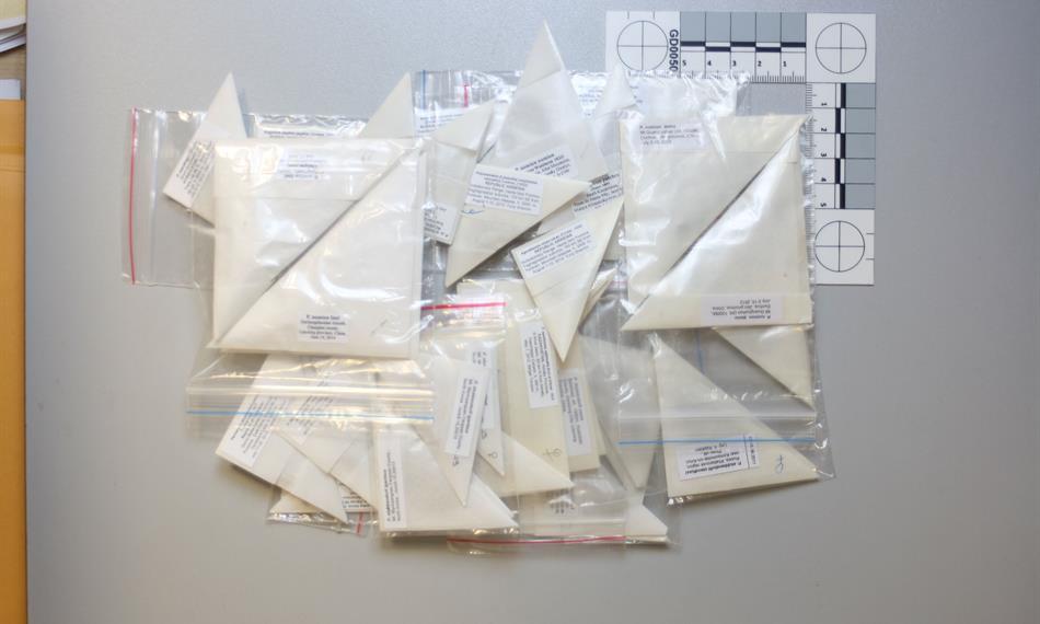 2015-1-15-944foto 3 motýli.jpg